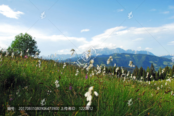 berglandschaften2