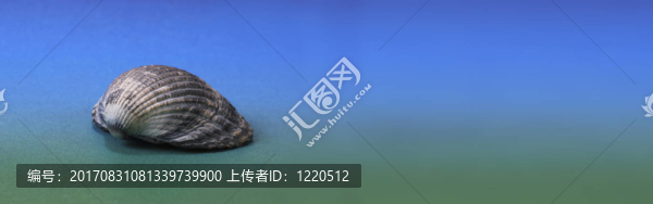 漸變前全景圖