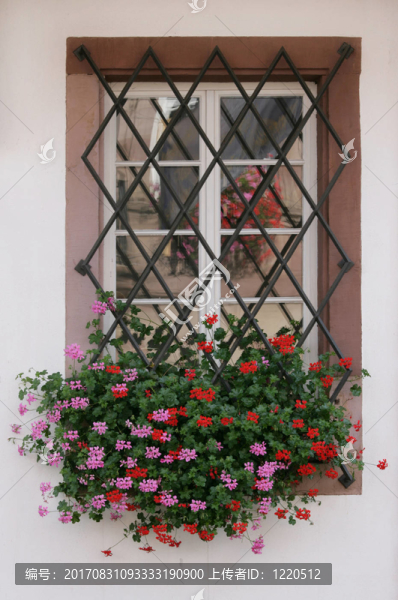 blumenfenster