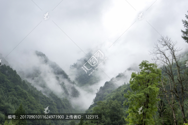 臥龍大熊貓基地