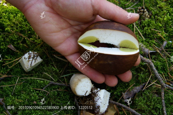 CEP,23