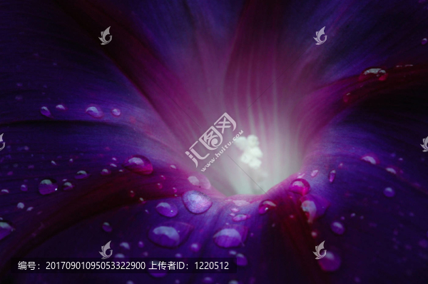 藍(lán)色的光芒