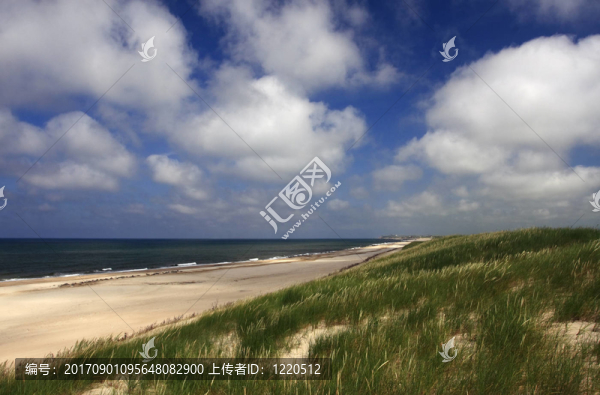 海灘、沙丘和大海