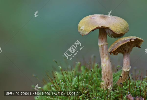 站在陰涼處
