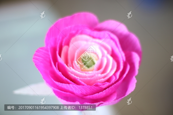 紙花