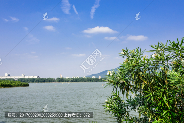 玄武湖公園風(fēng)景