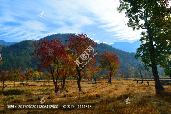 羅田風(fēng)光