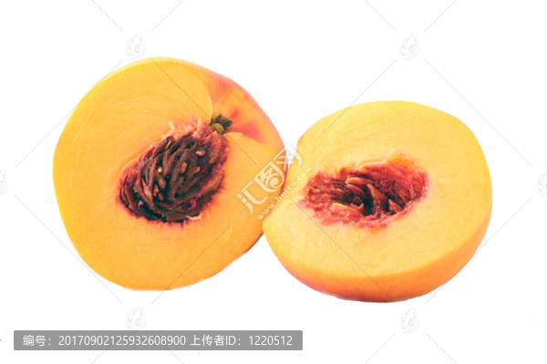 生態(tài)