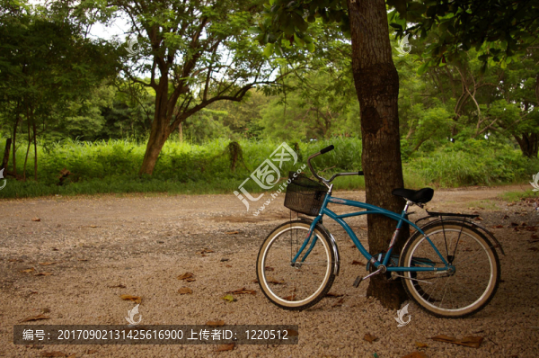 孤獨的自行車