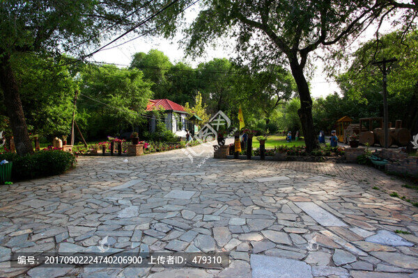 太陽島,俄羅斯風(fēng)情園,植物園