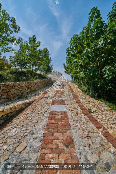 磚石路,高清大圖