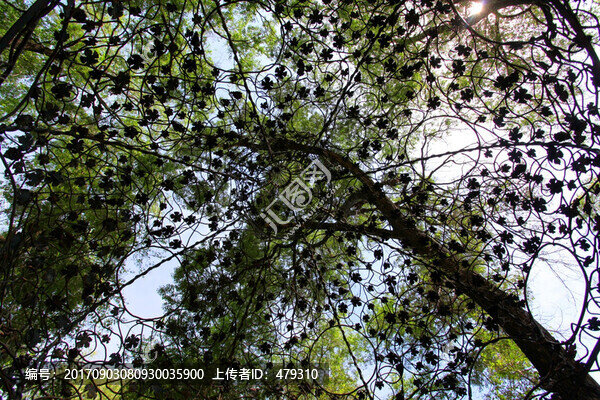 太陽(yáng)島,俄羅斯風(fēng)情園