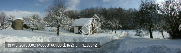 全景-,winterlandschaft,hill