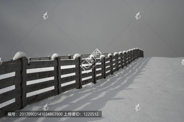 冬季
