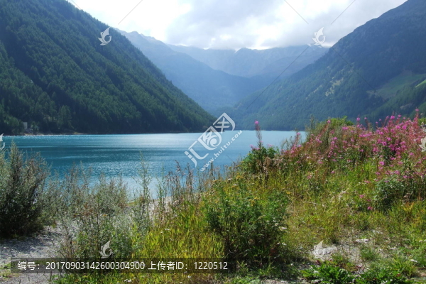 vernagt湖