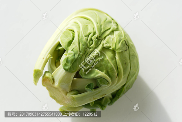 單品布魯塞爾芽果
