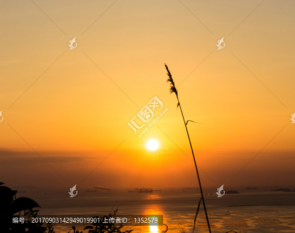 黃昏日落