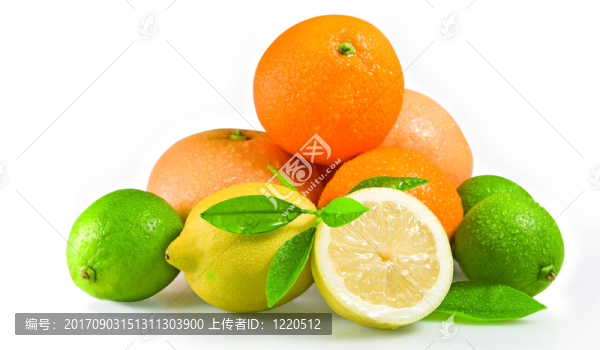 citrusfruechte