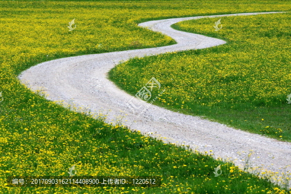 路線是目的