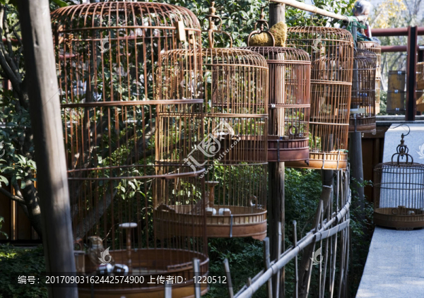 鳥籠