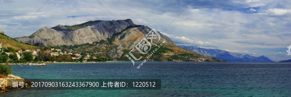 患病大鼠02