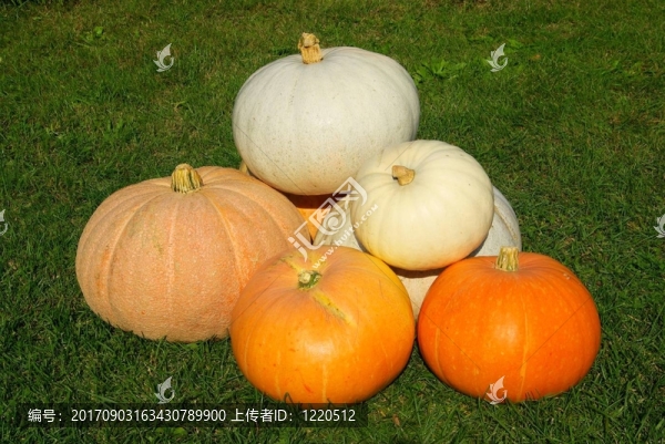 花園
