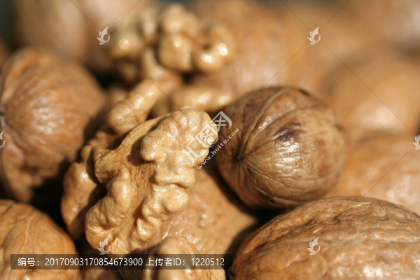 靜物