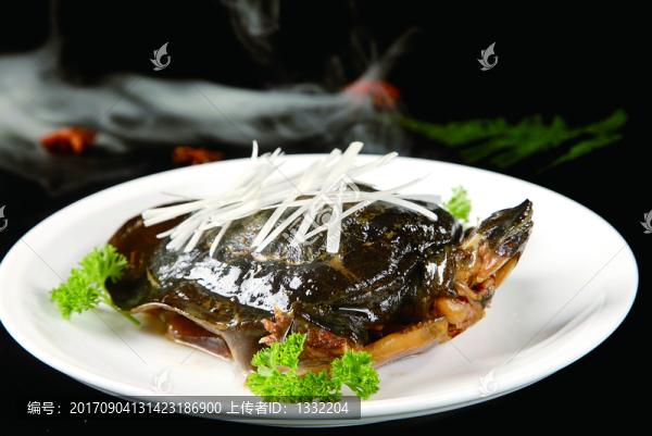手撕童子甲魚