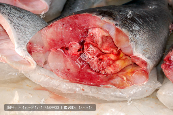 旗魚