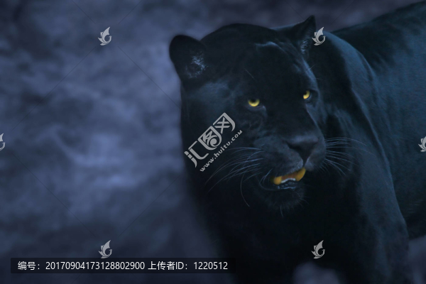 隱匿性