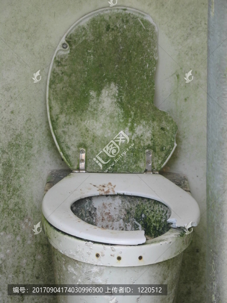 戶外廁所II