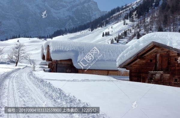 下雪的