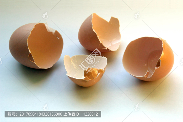 蛋殼
