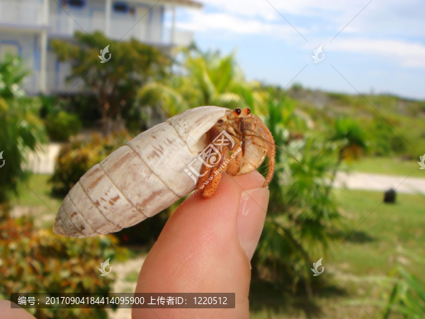 手指
