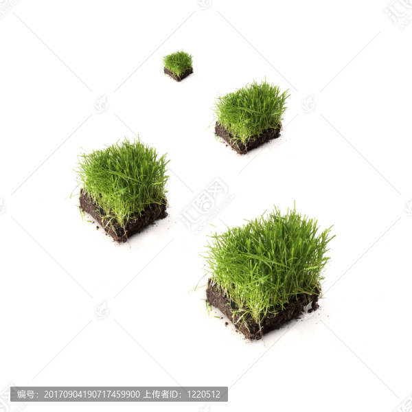 4草坪