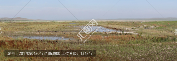 滿洲里二卡濕地