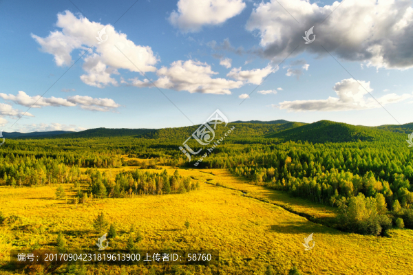 山林草甸風(fēng)景,航拍