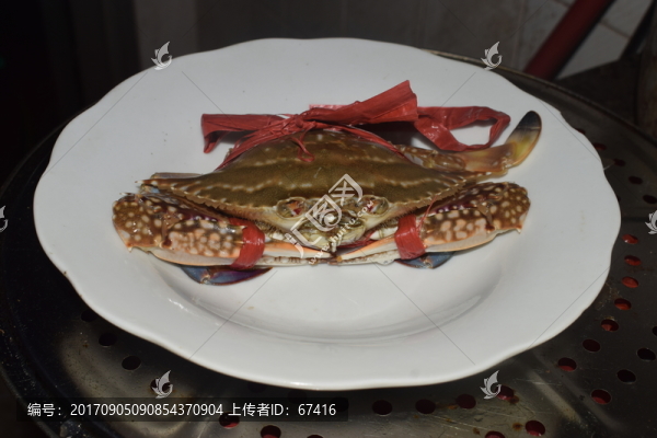 海蟹