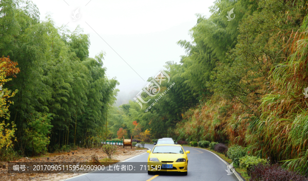 皖南竹海公路小車