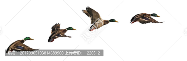 剖面上
