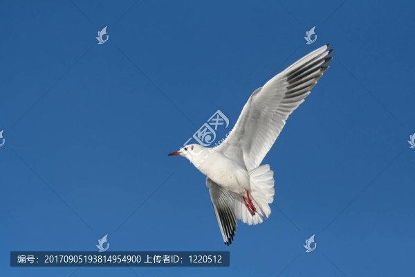 停頓…