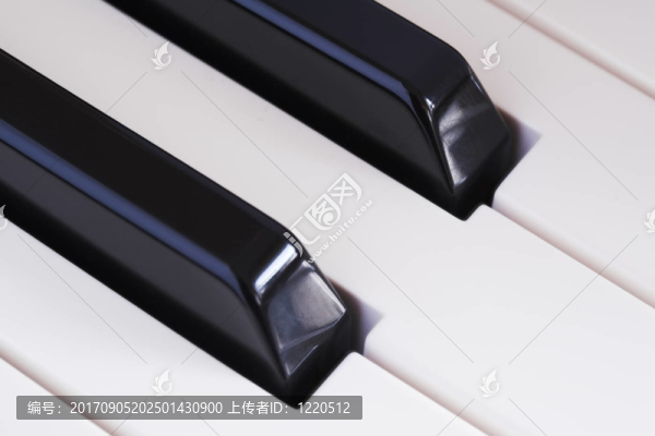 鍵盤