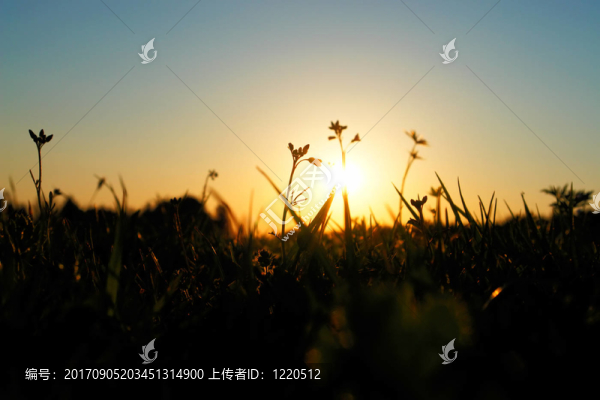 地平線