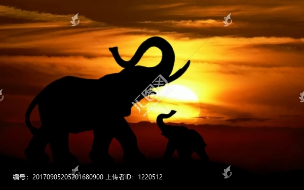一天