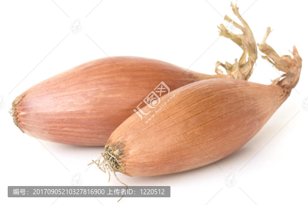 蔥