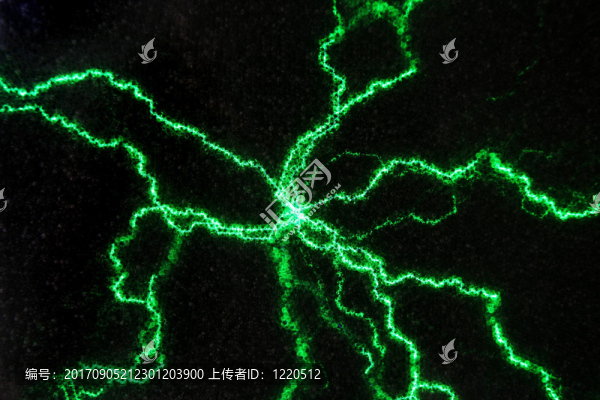 科學(xué)