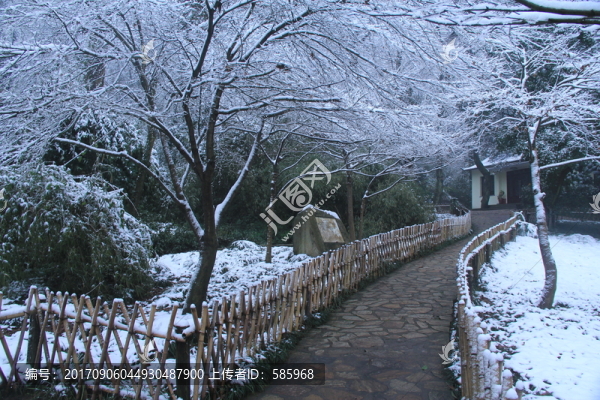 岳麓山雪景