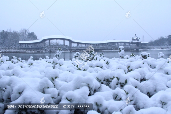 岳麓山穿石坡湖雪景