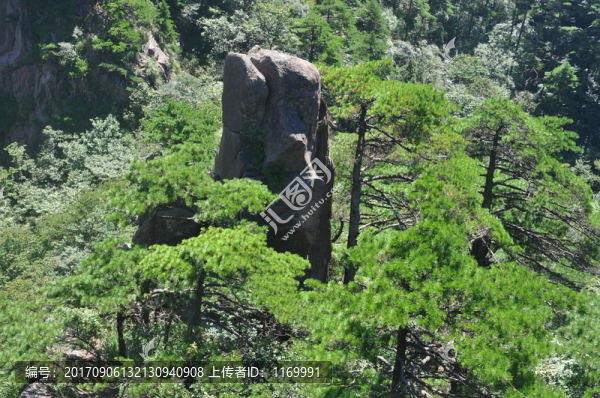 黃山奇石