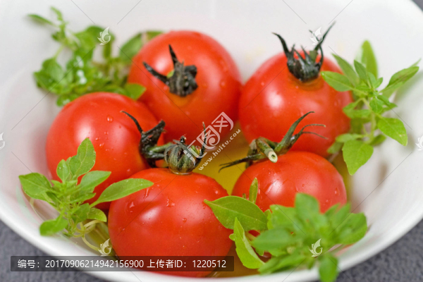 西紅柿